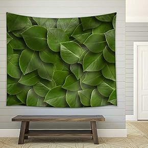 Green Leaves Background. Close up - Fabric Wall Tapestry Home Decor - 51x60 inches