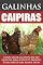 Livro Galinhas Caipiras: Como criar galinhas em seu quintal para sustento próprio e para obter uma renda extra!