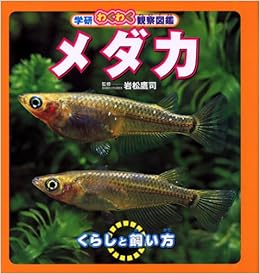 学研わくわく観察図鑑 メダカ 鷹司 岩松 本 通販 Amazon