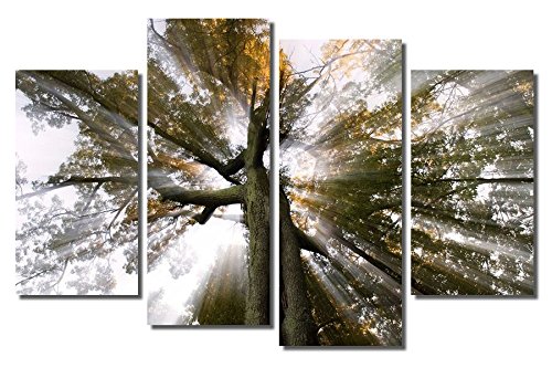 Panel B01hnfz5eu 画像sensations A090 4p Framedキャンバスアートプリント 48インチ 32インチ 4 48 X32 4パネル ベビーフォトフレーム写真立て 大感謝セール