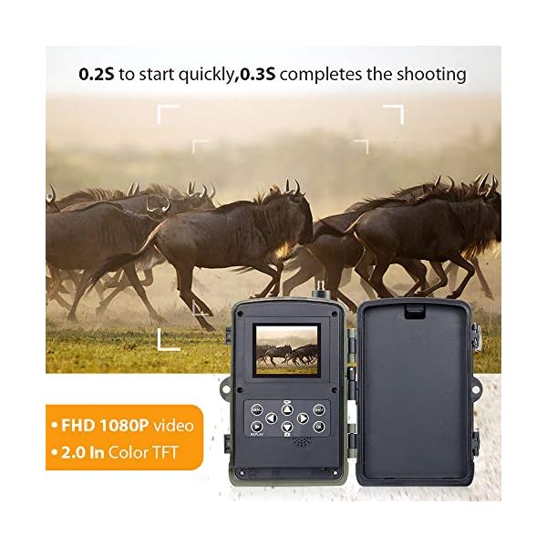 L-zp Jagdkamera 4G 1080P 16MP Wildkamera Fotofalle mit IP65 wasserdichte Jagdkamera 36 Pcs Low-Glow 940nm Infrarot-LEDs… – Bild 5