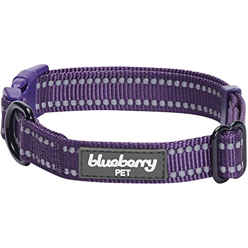 Blueberry Pet 6 Colors Safe & Comfy 3M Reflective Adjustable Dog Collar – Violet, Large, Neck 18″-26″