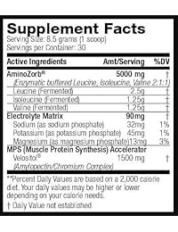 LionEdge Nutrition - BCAA Edge Vegan Bioavailable Branched Chain Amino Acid Powder...