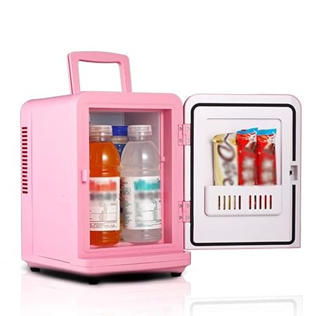DLYDSS Mini Refrigerador, Refrigerador For Automóvil, Refrigerador ...