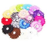 Ema Jane - Large Gerber Daisy Flower Hair Clips (16 Pack)