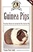 Guinea Pigs: Complete Care Made Easy-Practical Advice To Caring For your Guinea Pig by Virginia Parker Guidry, Carolyn McKeone