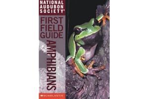 National Audubon Society First Field Guide: Amphibians