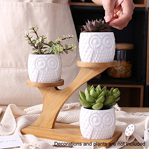 3 Pack Owl Ceramic Succulent Plant Pots with Bamboo Tray