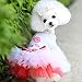 Outtop Pet Puppy Small Dog Cat Lace Skirt Princess Tutu Dress Clothes Costume (S)