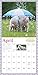 Pocket Pigs Wall Calendar 2016: The Famous Teacup Pigs of Pennywell Farm