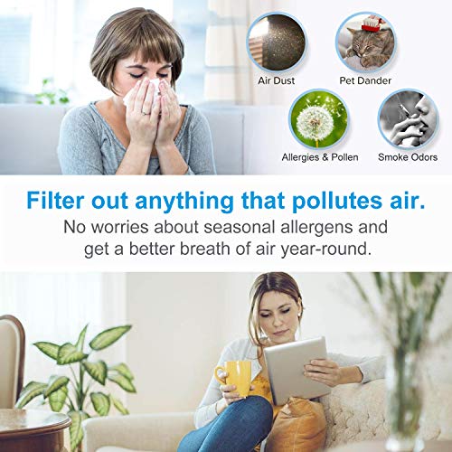 Air Purifiers Under 50 (14 Things To Look For In A Cheap Air Purifier)