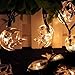ECHTPower(TM) 21ft 30 LED Moon Solar String Christmas Lights with Sensor