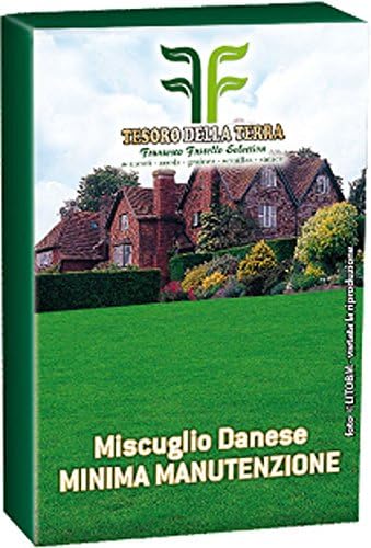 Seme Prato Inglese Miscuglio Forte Calpestio Resistentissimo Mondonatura Srl Amazon It Giardino E Giardinaggio