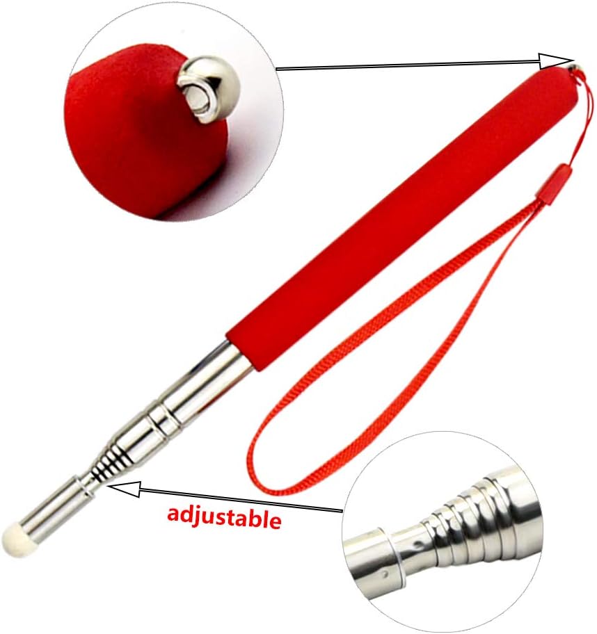 Marrywindix 4 Pieces Telescopic Teacher Pointers Retractable Lanyards Teaching Pointer Whiteboard Presentation Pointer with 8 Pieces Extra Felt Nibs for Teachers Coach Presenter : Electronics