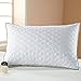 beegod Bed Pillow, Better Sleeping, Super Soft & Comfortable Antibacterial & Anti-mite, Best Hotel Pillows (1Pack)