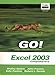 GO Series: Microsoft Excel 2003 Comprehensive by