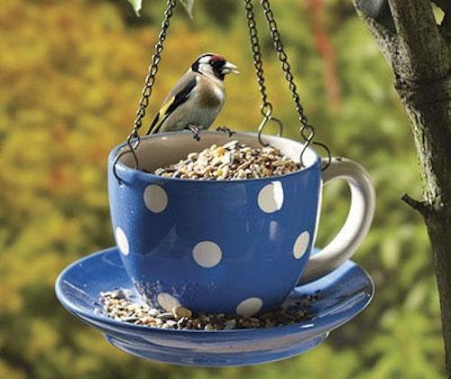 Large Ceramic Tea Cup Bird Feeder Blue New In Box Teacup Amazon