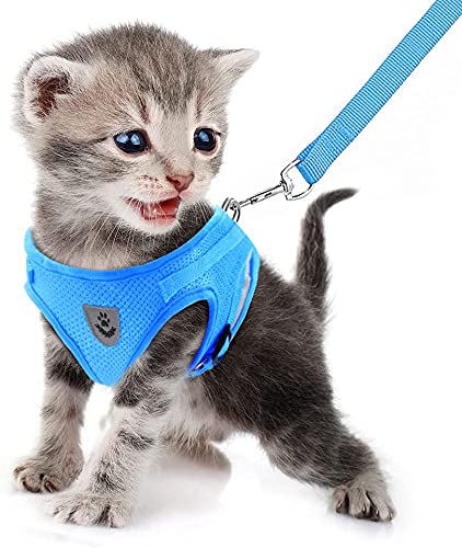 FEimaX No Pull Dog Harness and Leash Set, Soft Mesh Adjustable Lightweight Puppy Harnesses with Reflective Strap, Escape Proof Small Dog Cat Vest for Outdoor Walking