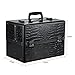 Docooler Lockable Cosmetic Organizer, Box Foldable Makeup Train Storage Case Holder, 2 Layers (Black)