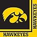 Iowa Hawkeyes Party Pack with Plates, Napkins, Cups (Serves 8)