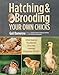Hatching & Brooding Your Own Chicks: Chickens, Turkeys, Ducks, Geese, Guinea Fowl by Gail Damerow