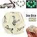 KIPETTO 6Pcs Funny Adult Posture Play Dice Glow in The Dark Funny Toys Game Dice for Couples