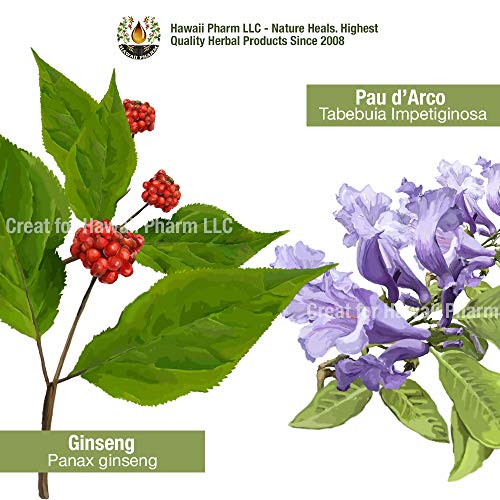 Natural-Immune-Support-Supplement-Tincture-of-Quina-OSHA-Echinacea-Lomatium-Forsythia-Cats-Claw-PAU-dArco-Turmeric-Umckaloabo-Ginseng-Bupleurum-and-Other-Herbs-2-oz