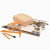 Paleo Expedition - Dino Excavation Kit - Tyrannosaurus Rex