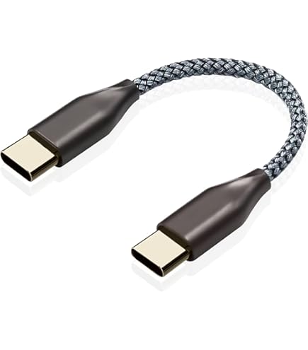 Amazon.com: earlife USB Type C to C OTG Cable for Headphone