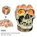 Omonic Himalayan Salt Lamp Lights, 3D White Gray Grey Tatoo Halloween Skull Carved Statue Lamp Night Light With Himalayan Pink White Salt Chunks , Dimmer Switch Control With 1 Salt Candle Holder