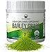 Organic Barley Grass Juice Powder by Peak Performance. USA Grown Vegan Superfood Supplement Rich in Fiber, Antioxidants, Chlorophyll. Non Irradiated, Non GMO, Gluten Free Barleygrass Extract Powders