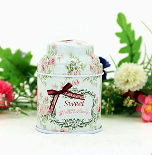 TooGet Elegant Tinplate Empty Tins, Home Kitchen Storage Containers, Shabby Chic Tins for DIY Candles, Dry Storage, Spices, Tea, Candy, Party Favors, and Gifts(Cylinder 6-Pack)