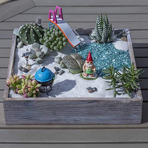 3 Altman+Plants+Succulents+Garden+Collection