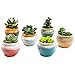 Sun-E Ceramic Succulent Plant Pot Flowing Glaze Black&White Base Serial Set Cactus Plant Pot Flower Pot Container Planter with Hole(6 in Set) 2.75 Inch