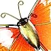 Exhart 4 Butterfly Garden Stakes, Durable Glass/Metal, Outdoor Décor, 1 Each Color, 4pc, 8