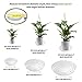 Remiawy Clear Plant Saucers 18 Pack Flower Pot Drip Trays for Indoor & Outdoor Plants Garden Saucers Plant Pot Saucer Trays – Assorted Sizes for Large to Small Pots, 6/8/10 Inchthumb 4