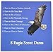 Eagle Scout Dare to Soar Keepsake Box Set (9 Total Items!)