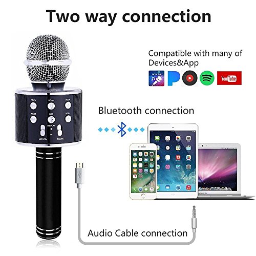 1 Karaoke+Microphone+Wireless+Bluetooth+Speaker