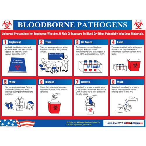 Cdc bloodborne pathogen free video picture