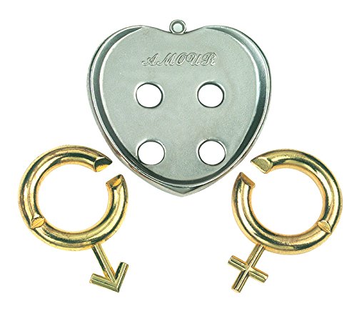 AMOUR Hanayama Cast Metal Brain Teaser Puzzle (Level 5)