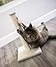 Petlinks, Claw Climb, Cat Scratching Post, Sisal Scratcher, With Dangling Feather and Ribbon Cat Toy, Durable, Rough