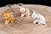znewlook Pig Handcrafted Jeweled Pewter Trinket Box New Lovely Pig Jewelry Box