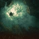 COMPANION                                          image