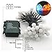 OMGAI Ball Fairy Lights, 17Ft 60 LED Waterproof Color Changing Globe String Lights with Remote Control for Outdoor, Home, Garden, Wedding, Party,Christmas Tree Decoration, Warm White and Multi-Color