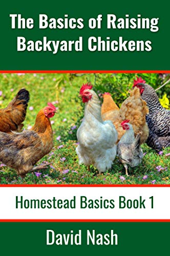 The Basics Of Raising Backyard Chickens Beginner S Guide To