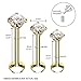 BodyJ4You 3PC Labret Stud Tragus Earring Set 16G Goldtone Steel Crystal Helix Lip Monroe Cartilage