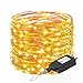 Birsppy Ittiot Fairy String Lights 33ft with 100 LEDs, Christmas Lights Waterproof Outdoor & Indoor Decorative Lights for Bedroom, Garden, Patio, Parties, UL Power Supply Copper Wire Lights