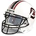 NCAA South Carolina Collectible Mini Football Helmet