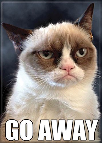 Ata-Boy Grumpy Cat 'Go Away' 2.5" x 3.5" Magnet for Refrigerators and Lockers - Thumbnail 3