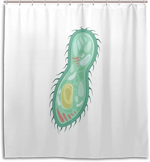 Amazon Com Bathroom Valance Curtains Paramecium Texture Ciliates Bristles Bathroom Curtain Bar 66 X 72 Inch Machine Washable Waterproof Bathroom Curtains Home Kitchen